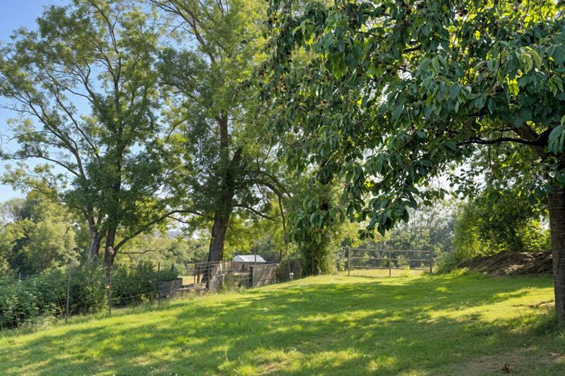 Maison - 269 m² - 9 pièces