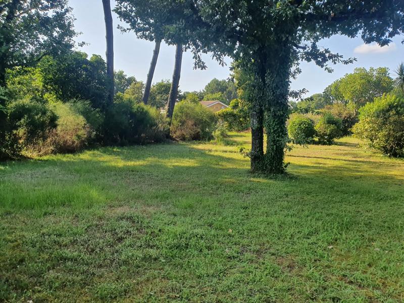 Terrain constructible - 684 m²
