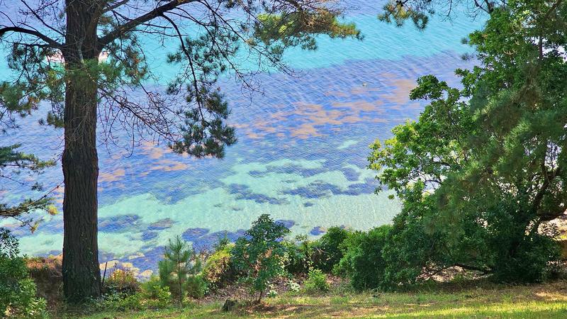 Appartement - 119 m² - 4 pièces