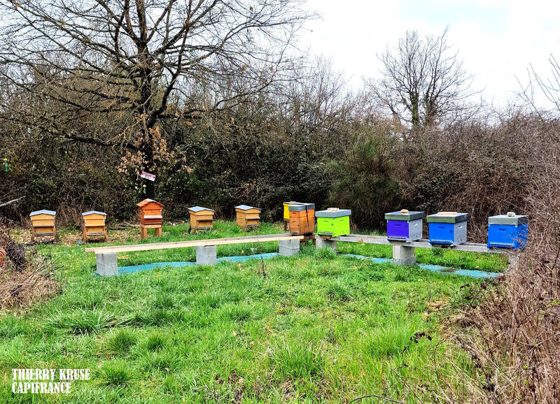 Terrain agricole - 120 000 m²