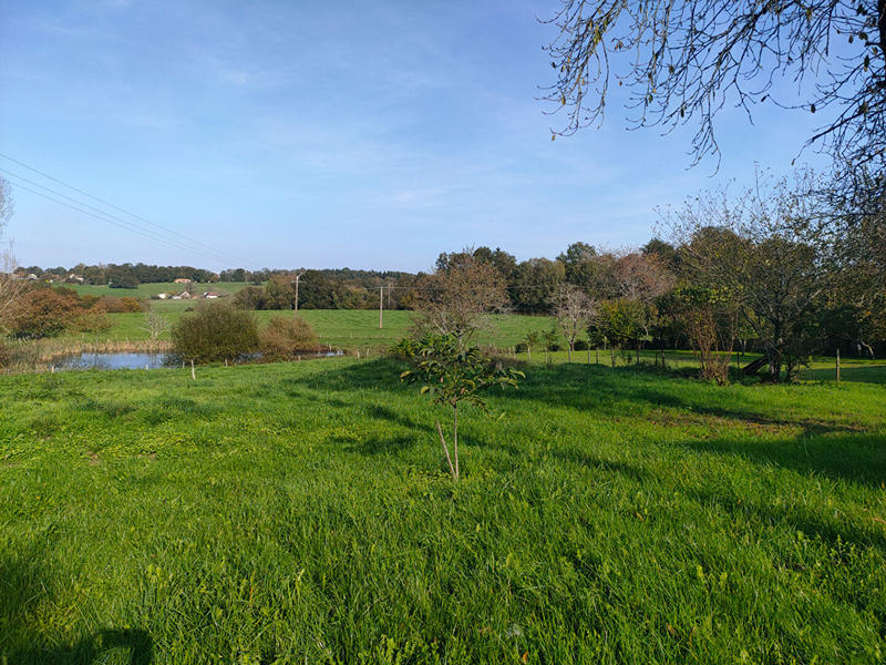 Maison - 60 m² - 2 pièces