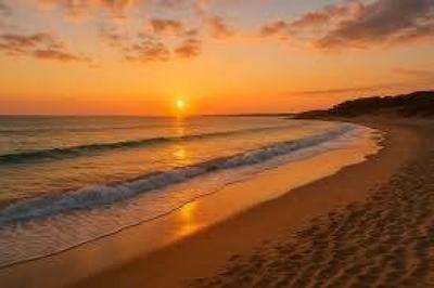 Local commercial - 81 m² - 2 pièces