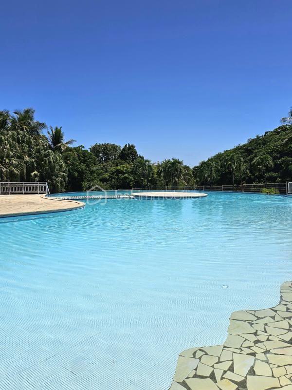 Studio - 41 m² - 1 pièce