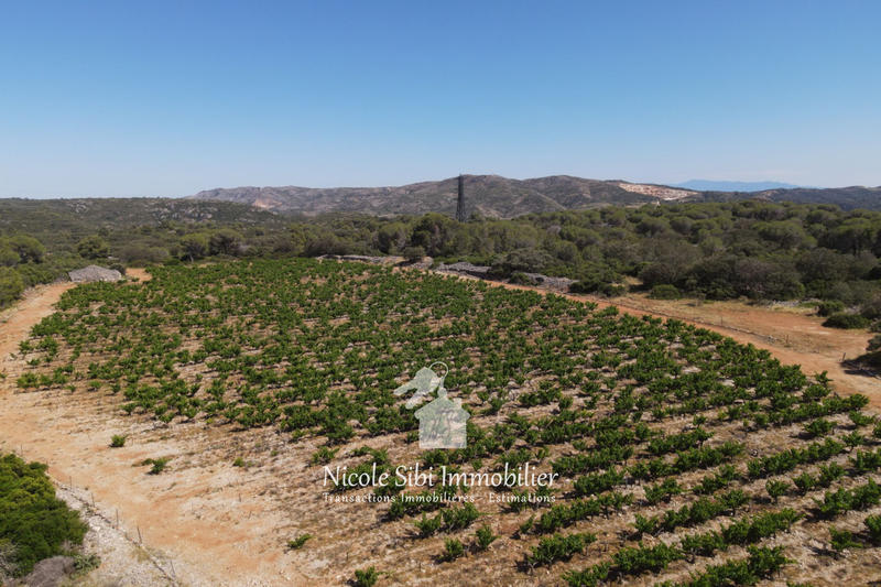 Terrain agricole - 18 500 m²