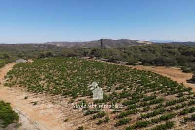 Terrain agricole - 18 500 m²