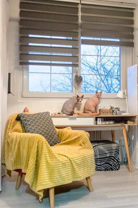 Maison - 244 m² - 10 pièces