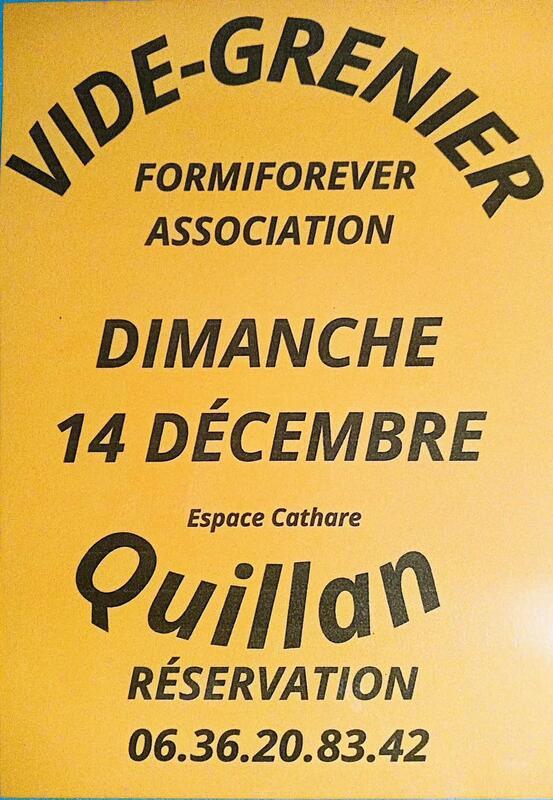 Vide-grenier de l'association formiforever