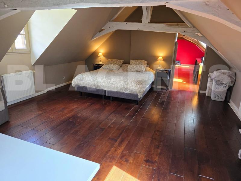 Maison de domaine - 325 m² - 14 pièces