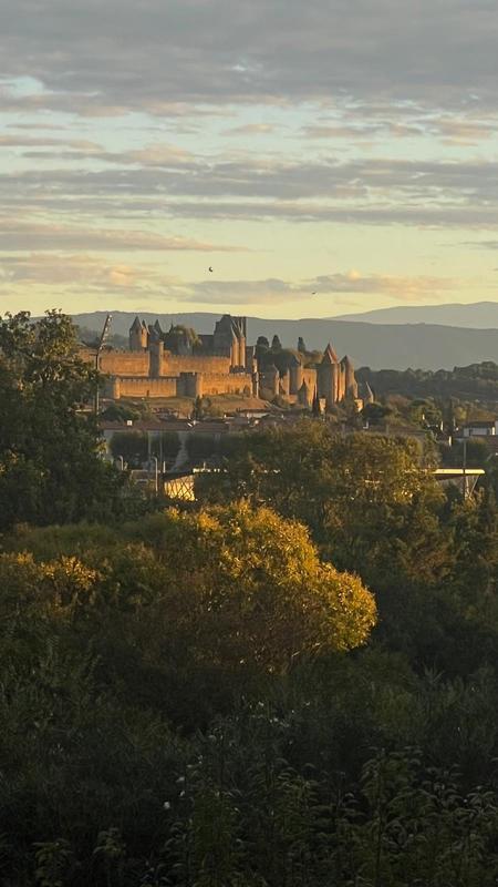 Maison - 427 m² - 11 pièces