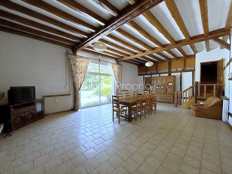 Maison - 251 m² - 7 pièces