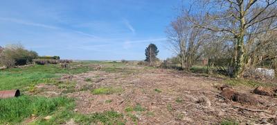 Terrain constructible - 1 185 m²
