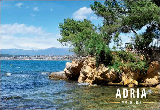 Appartement - 30 m² - 1 pièce