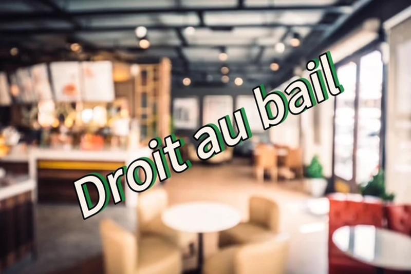 Bureau - 77 m² - 3 pièces