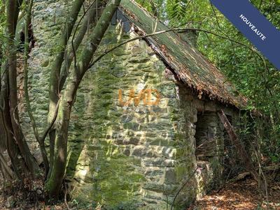 Maison en pierre - 60 m² - 2 pièces