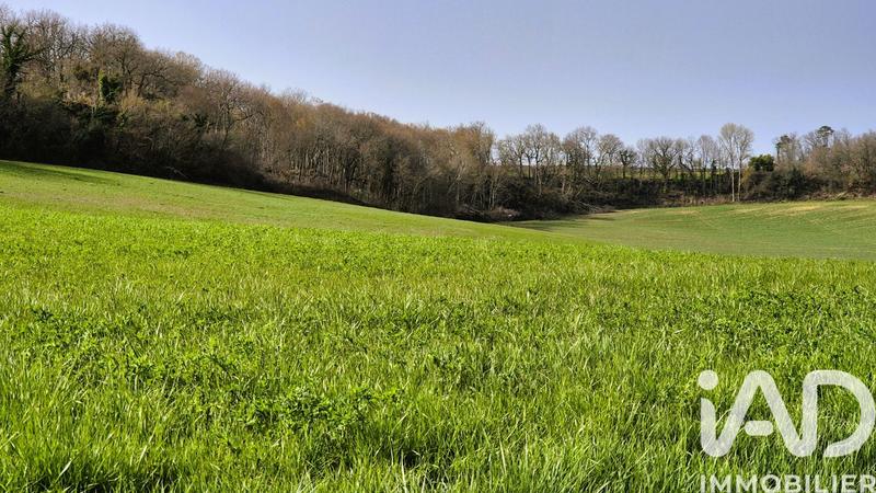 Maison - 282 m² - 8 pièces