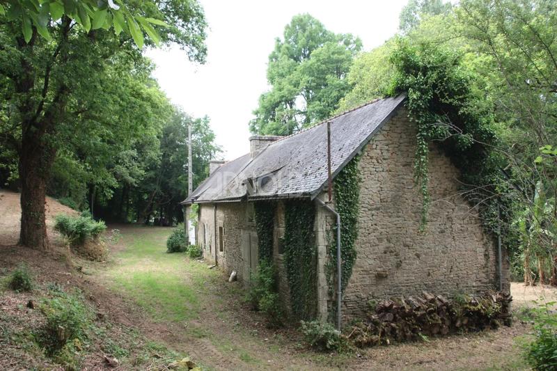 Moulin - 250 m² - 5 pièces