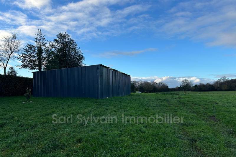 Maison - 137 m² - 5 pièces