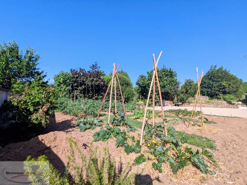 Maison de village - 220 m² - 7 pièces