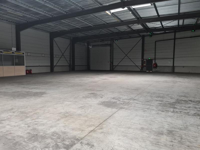 Local d'activité / Entrepôt - 2 000 m²