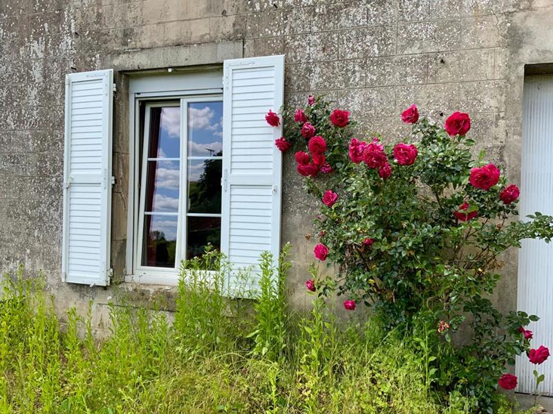 Propriété - 310 m² - 7 pièces