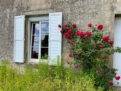 Propriété - 310 m² - 7 pièces