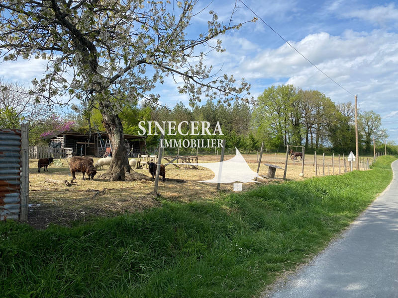 Ferme - 100 m² - 5 pièces