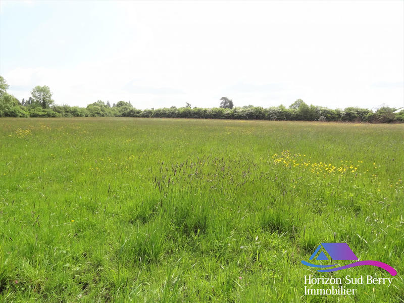 Terrain - 18 805 m²