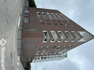 Chambre - 9 m² - 1 pièce