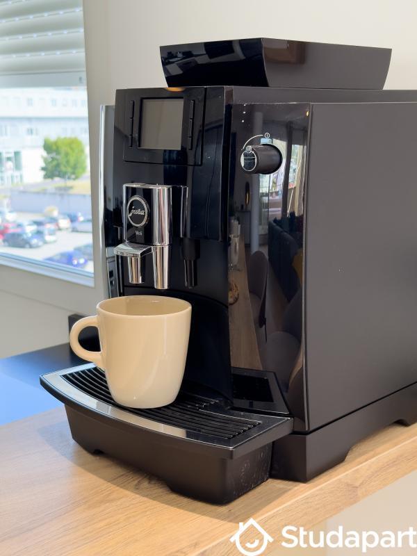 Chambre - 22 m² - 1 pièce