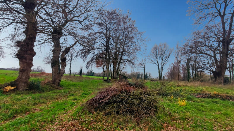 Maison - 96 m² - 2 pièces