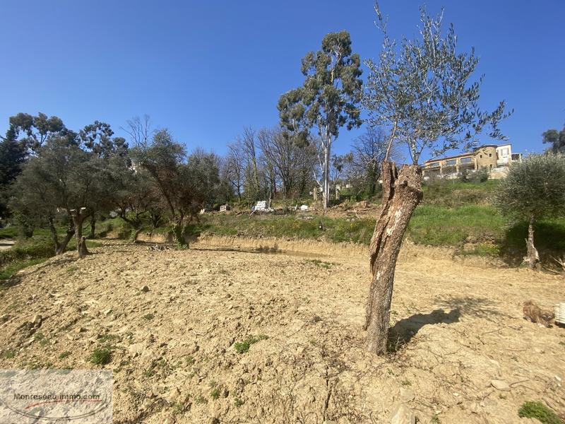 Terrain constructible - 1 880 m²