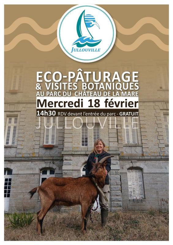 Eco-pâturage du parc du Château de la Mare