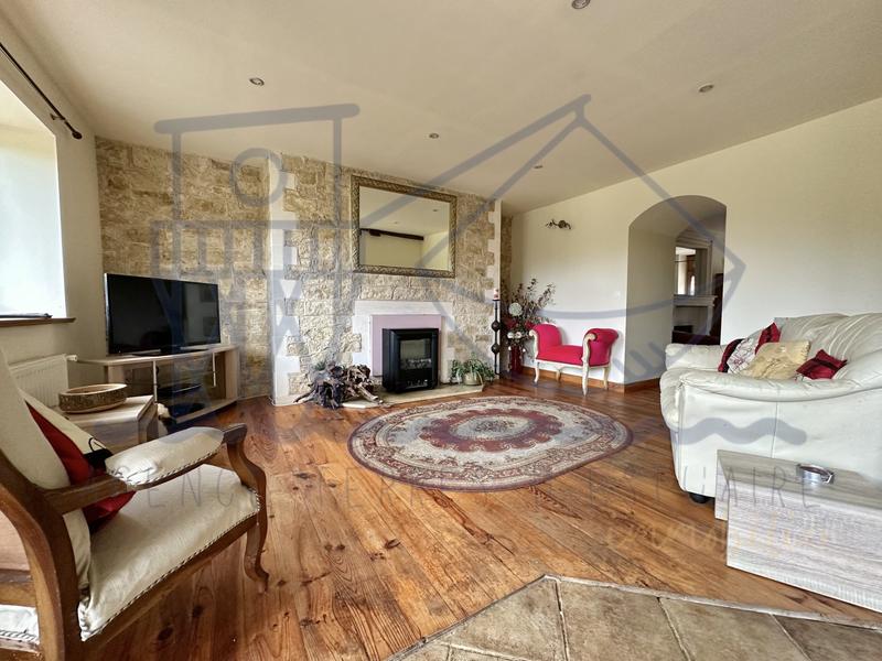 Maison ancienne - 387 m² - 8 pièces