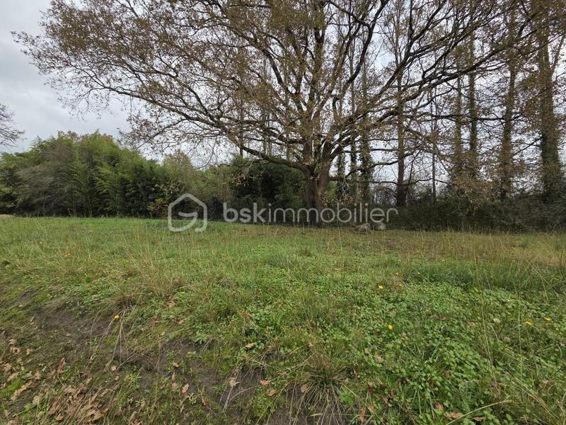 Maison ancienne - 67 m² - 3 pièces