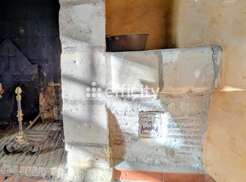 Château - 321 m² - 9 pièces