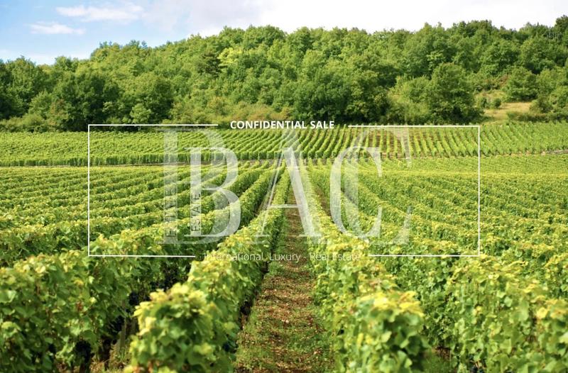 Propriété - 700 m² - 8 pièces