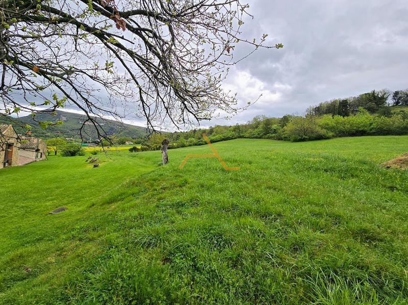 Maison en pierre - 500 m² - 5 pièces