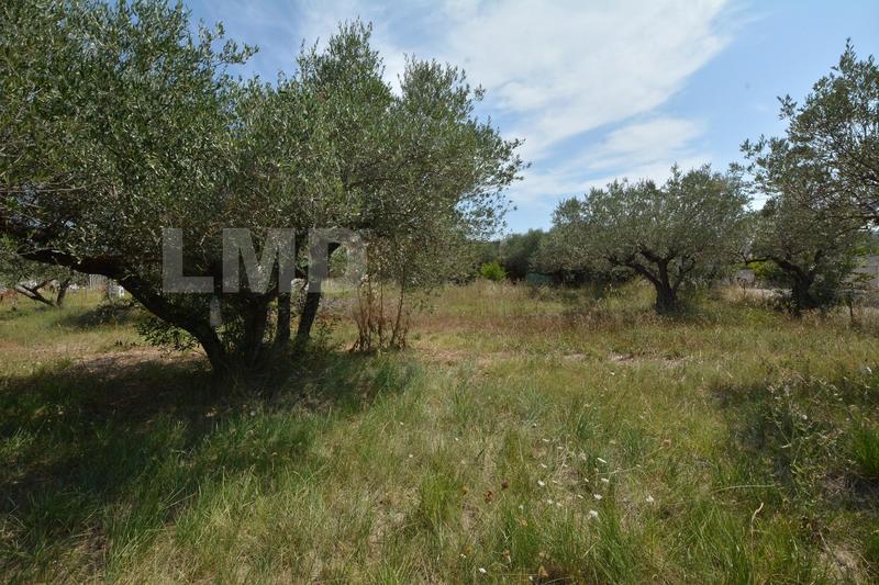 Terrain - 621 m²