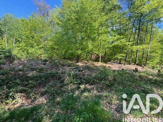 Châlet - 120 m² - 3 pièces