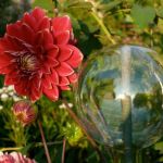 Les Jardins du Clos Fleuri