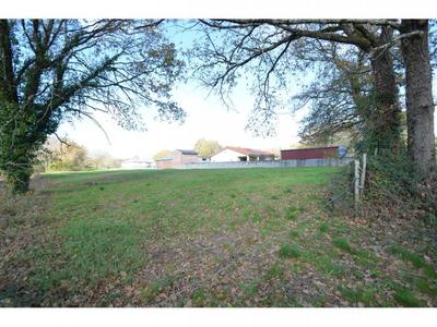 Terrain - 3 820 m²