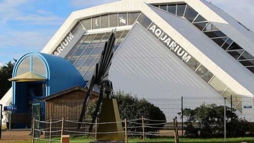 Aquarium de Vannes