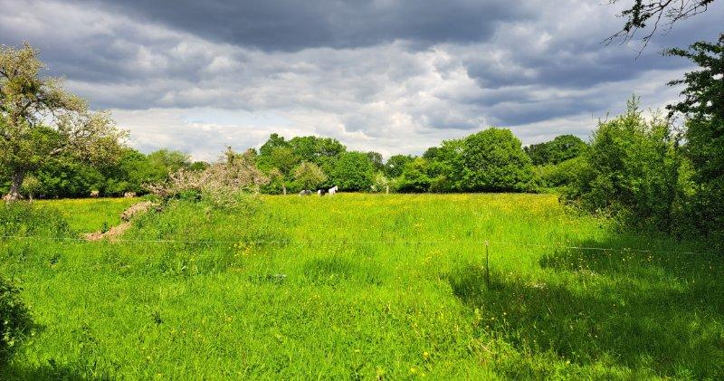 Maison de campagne - 230 m² - 6 pièces