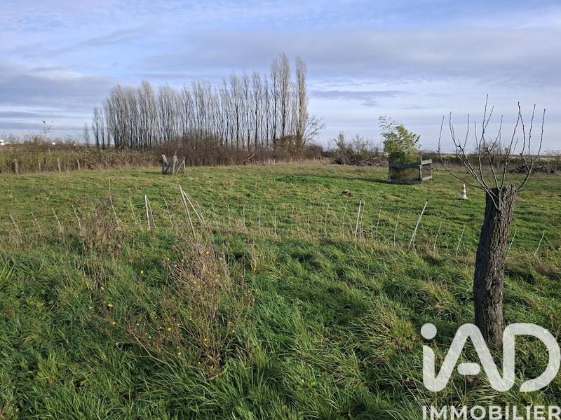 Maison - 113 m² - 4 pièces