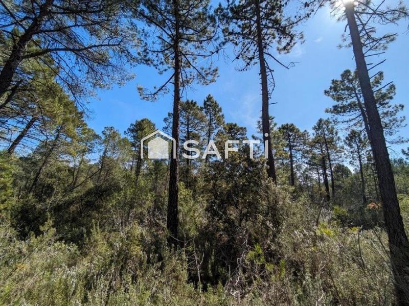 Terrain - 49 930 m²