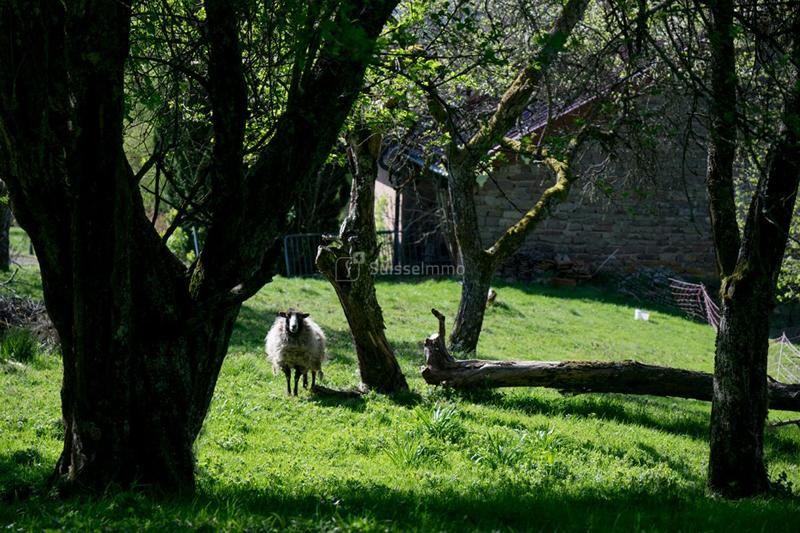 Maison - 96 m² - 5 pièces