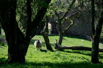 Maison - 96 m² - 5 pièces