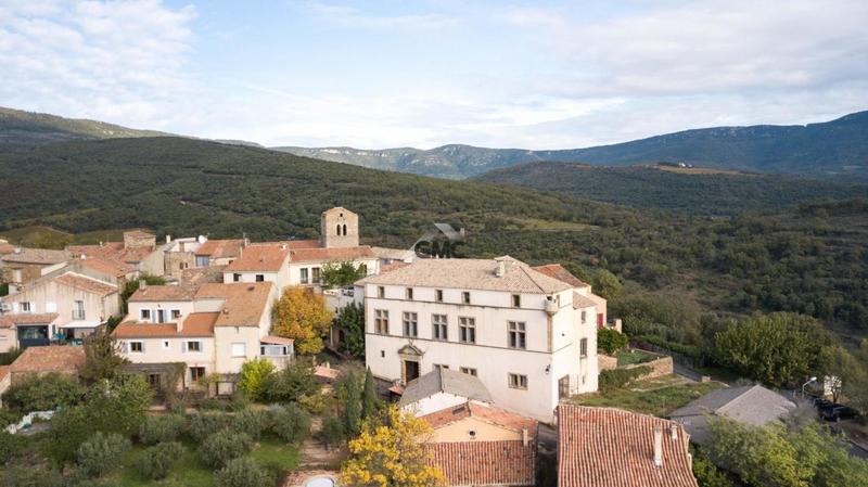 Château - 476 m² - 9 pièces