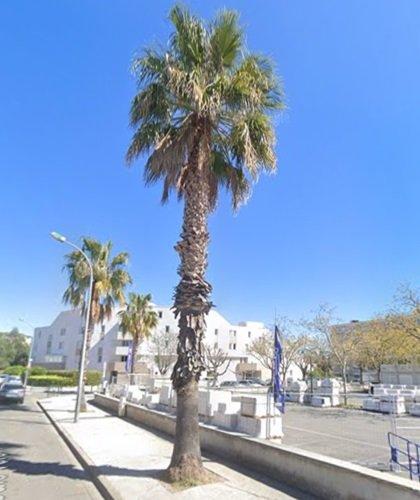 Local d'activités - 498 m² - 4 pièces