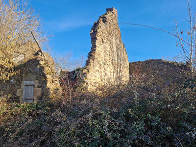 Maison - 160 m² - 1 pièce